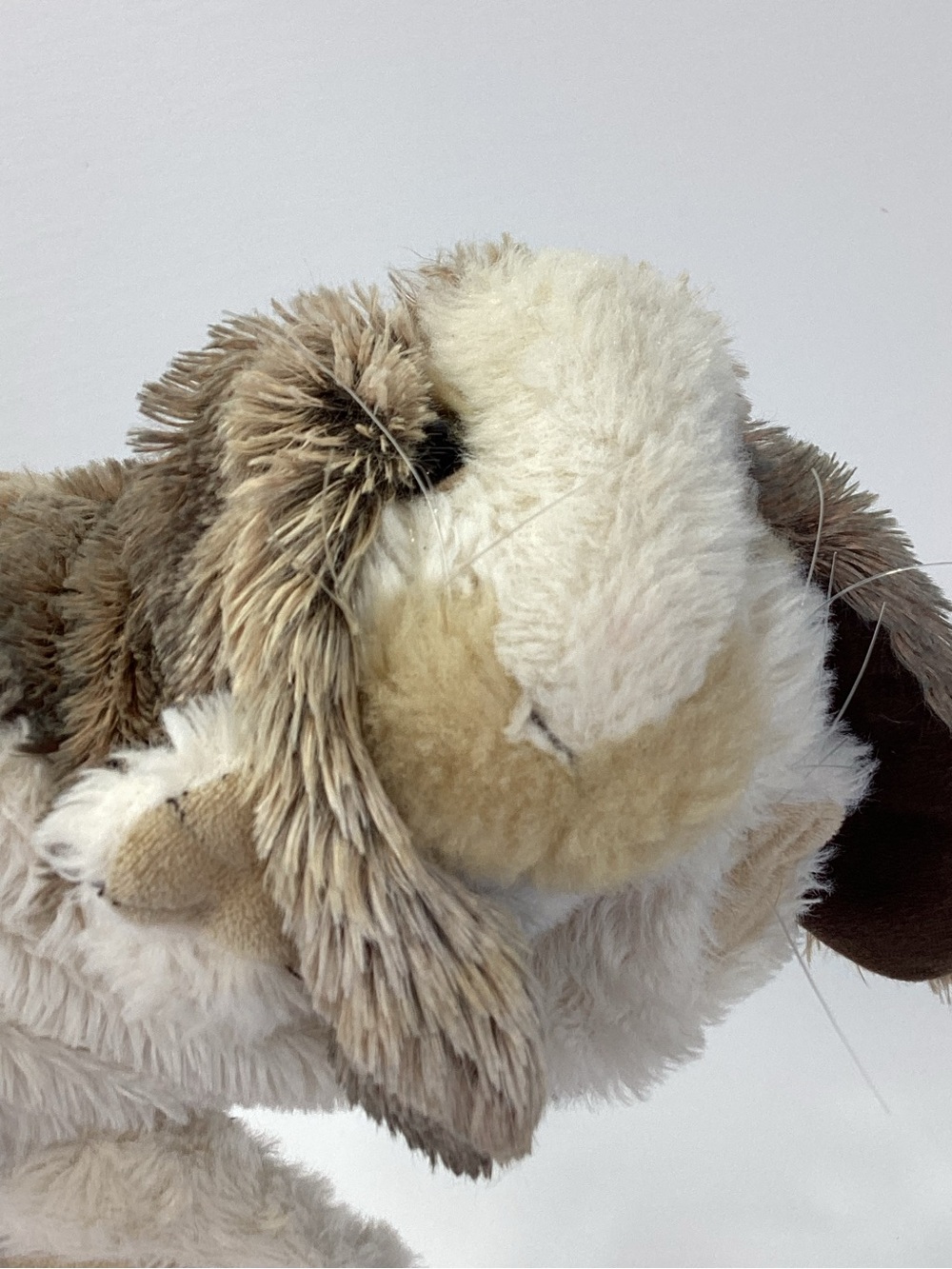 Folkmanis Puppet Baby Lop Rabbit - Picture 7 of 14